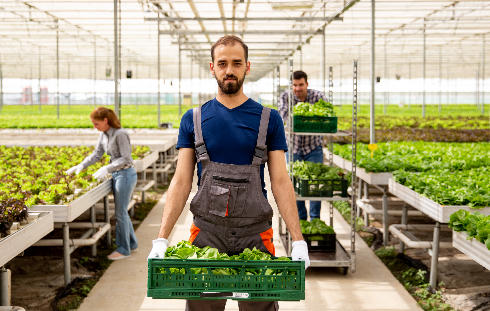 Corporate Documentary